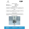 NOLVADOS 10 MG (TAMOXIFEN CITRATE) | SERM | Driada Medical | DriadaShop