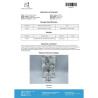 LGD4033 (LIGANDROL) | Premium SARM | Driada Medical | DriadaShop